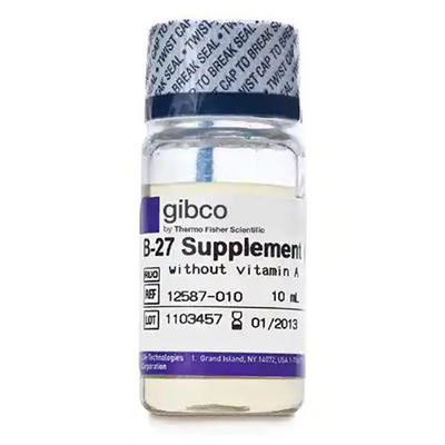 Gibco12587-010 B-27无血清添加剂 (去除维生素A 50X)  10ml
