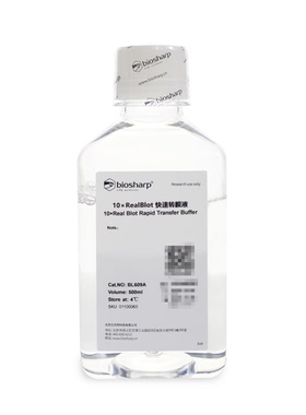 白鲨 biosharp BL609A 10×RealBlot快速转膜液 500ml 4℃贮存
