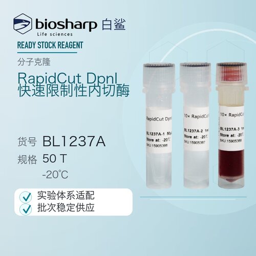 白鲨 Biosharp BL1237A RapidCut DpnI 快速限制性内切酶 50T
