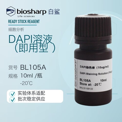 白鲨 Biosharp BL105A BL105B DAPI溶液(即用型) 4℃避光保存