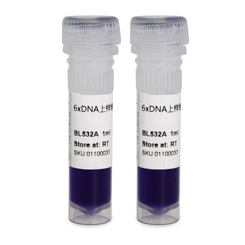 白鲨Biosharp BL532A BL532B DNA Sampling Buffer上样缓冲液(6X)