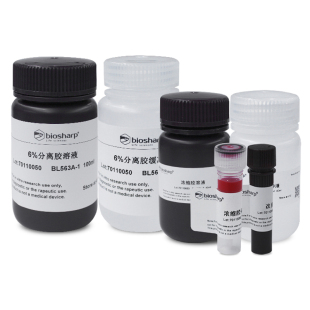 PAGE彩色凝胶快速制备试剂盒125块 6%SDS 盒 BL563B 白鲨Biosharp