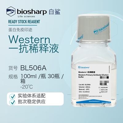 白鲨Biosharp BL506A Western一抗稀释液