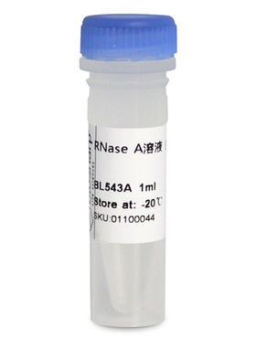 白鲨Biosharp BL543A RNase A溶液（核糖核酸酶 A,10mg/ml） 1ml