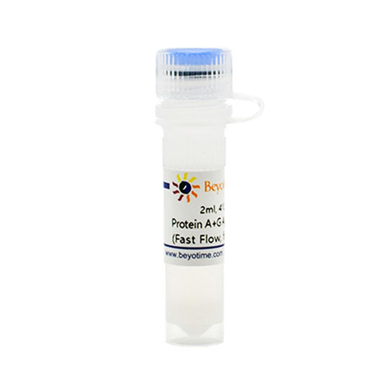 碧云天Beyotime P2055 Protein A+G Agarose (Fast Flow, for IP)