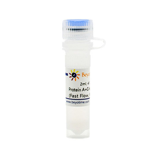 碧云天Beyotime P2055 Protein A+G Agarose (Fast Flow, for IP)