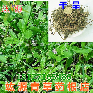 竑源青草药根店  铁扁担 水黄芹 步步丁 番梨仔草 过江藤 干品