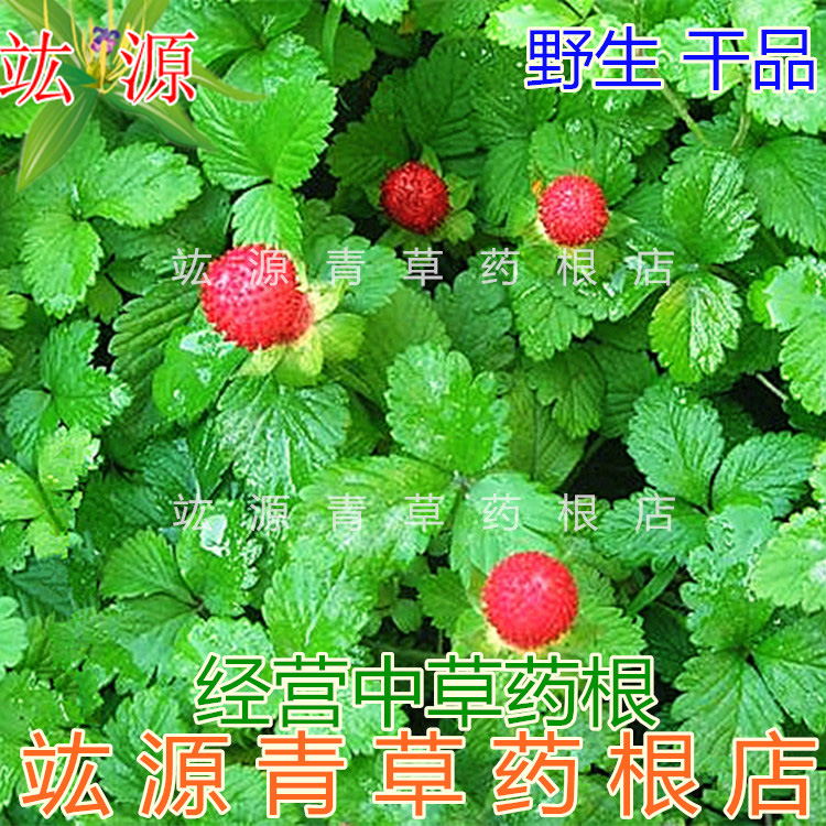 竑源青草药根三脚虎和尚头草蛇莓龙吐珠倒地枚干品农产品