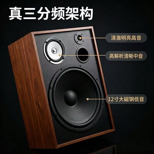 2026豪杰天韵A12S发烧HIFI级12寸三分频无源音箱音响家庭影院