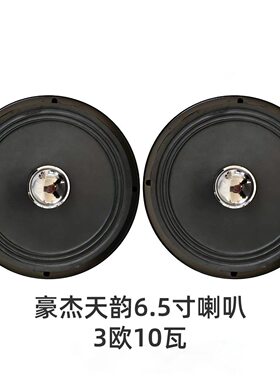 豪杰天韵6.5寸170mm3欧10瓦喇叭扬声器6.5寸喇叭HIFI级扬声器