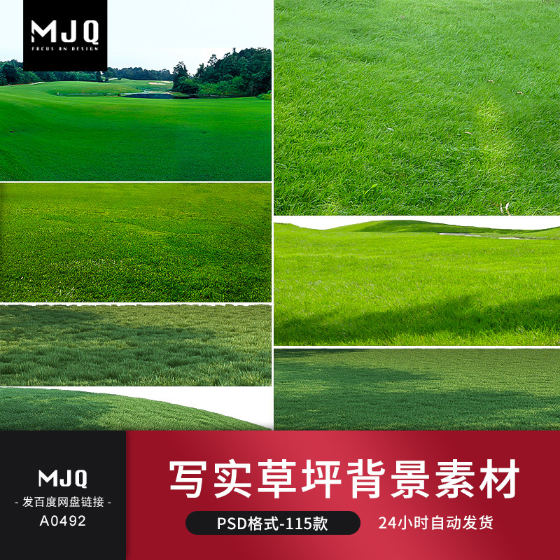 草地合成背景素材草丛花境psd婚纱影楼后期修图ps写实高清草坪