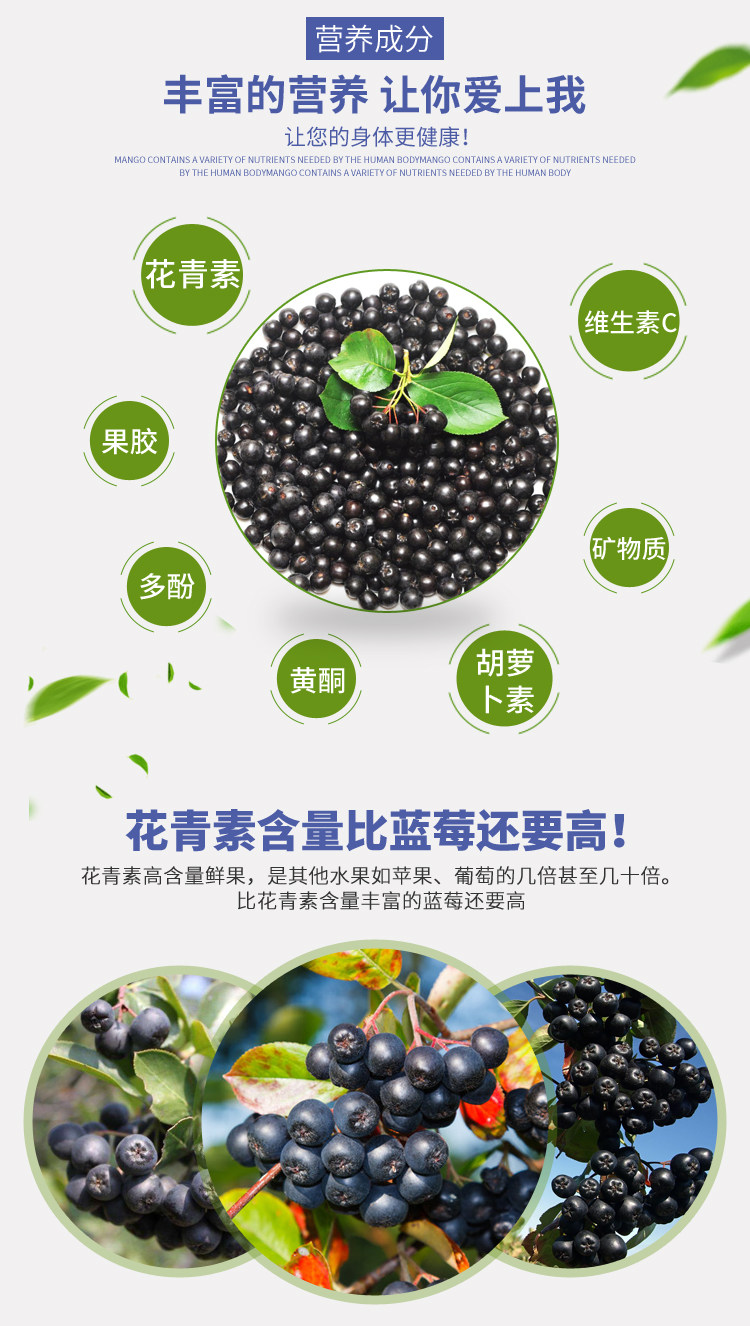 aronia黑果腺肋花楸果干不老莓果干野樱莓黑果花楸果干有机栽植