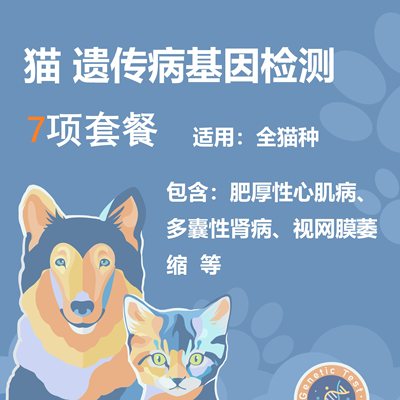 猫咪猫基因检测遗传病宠物DNA