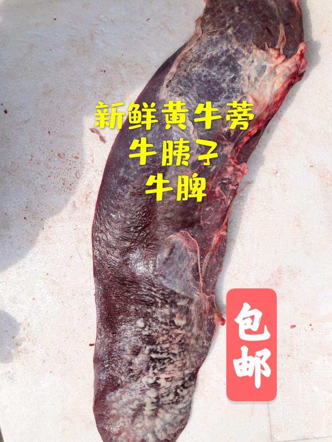 新鲜黄牛牛胰子 生牛蒡 牛脾 全国包邮 1斤价格 先宰现取 散装