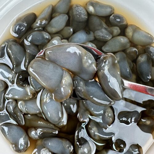 舟山大泥漯黄泥螺海鲜爽脆即食