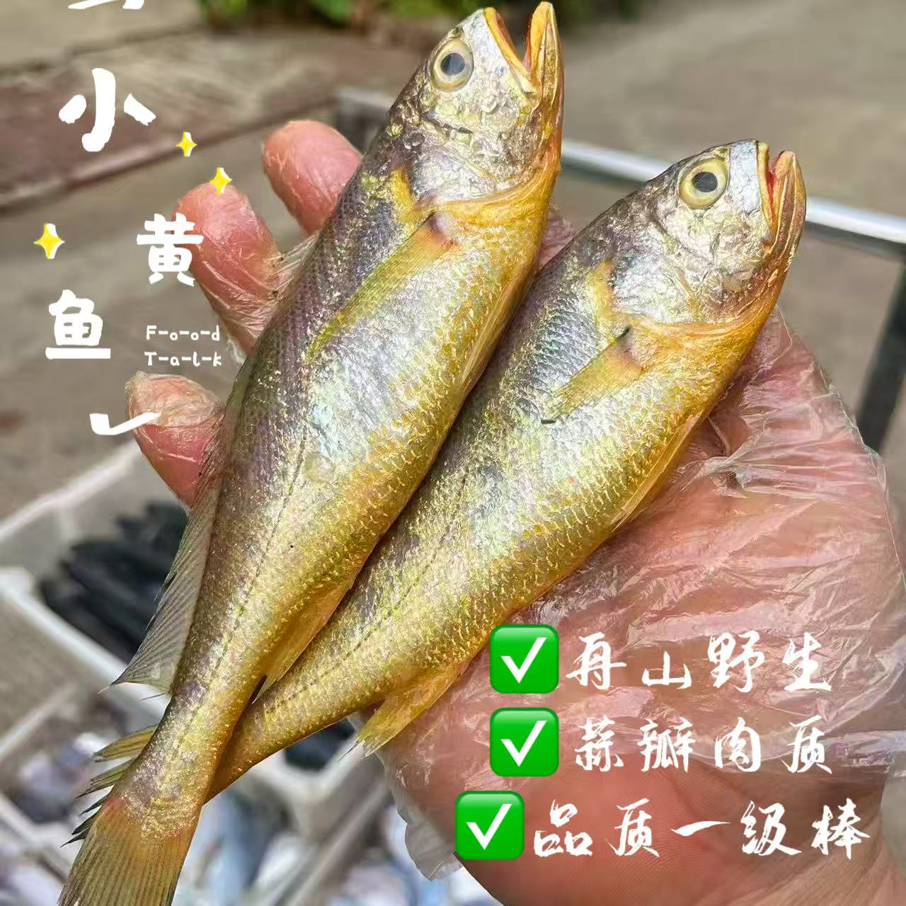 舟山新鲜开渔第一网ye生小黄鱼，3斤1份，多规格