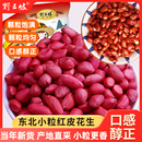 东北红衣生花生米500g黑龙江四粒红花生仁新鲜红皮不带壳生 新货