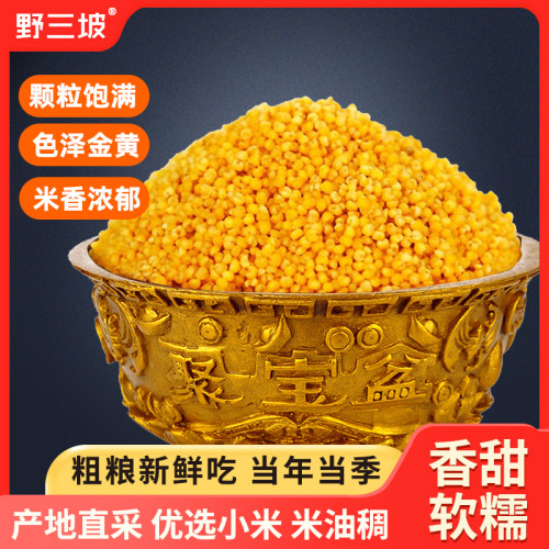 500g山西特产农家食用黄小米