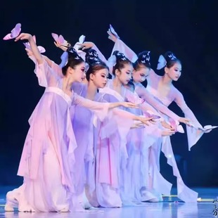 中国舞表演服蝶舞花间演出服儿童古典舞汉服舞蹈飘逸蝴蝶道具女童