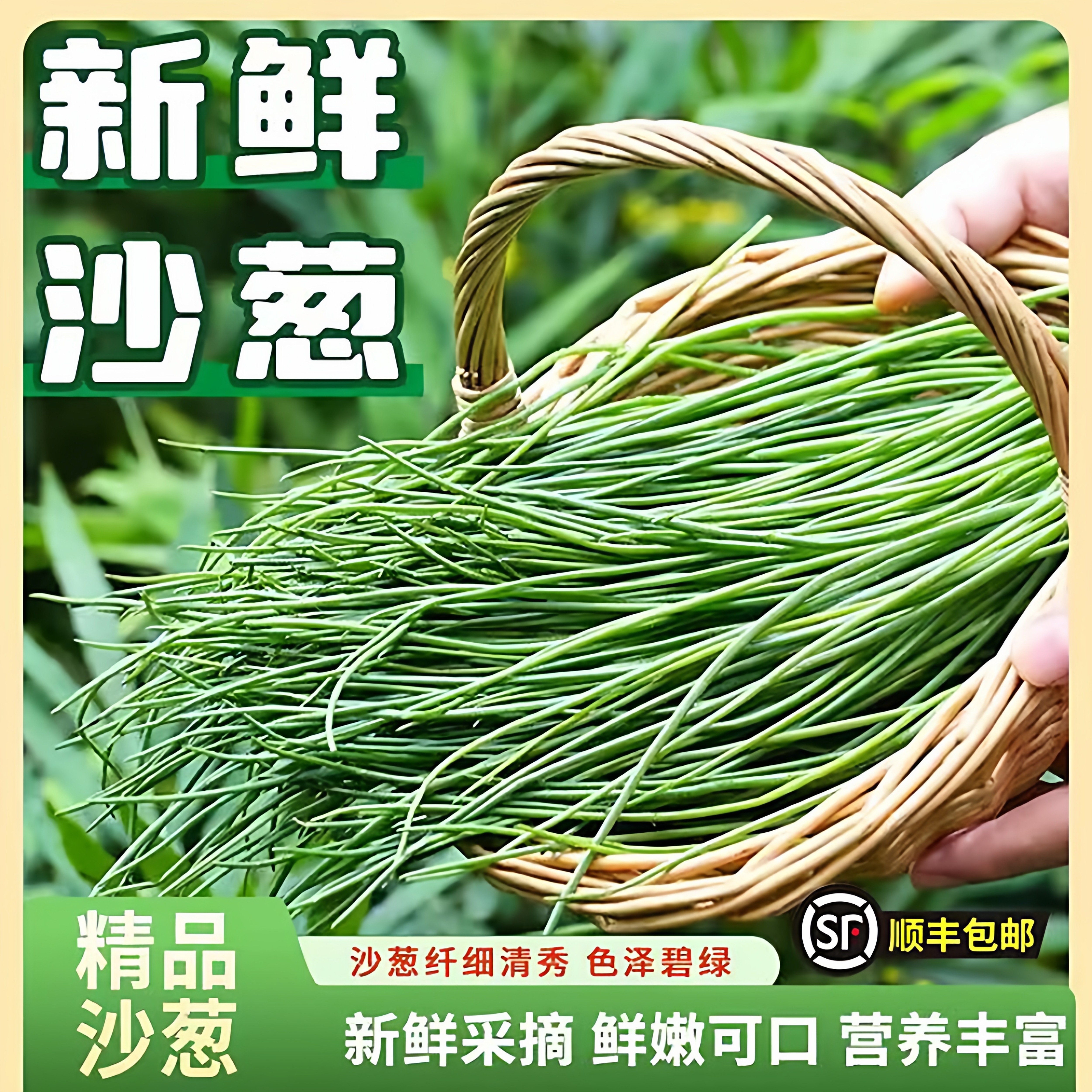 甘肃民勤当地直供沙葱新鲜蔬菜胡葱现采西北特产时令蔬菜当季现摘,水产肉类/新鲜蔬果/熟食,葱类,淘宝优惠券,粉丝福利购,淘宝优惠卷