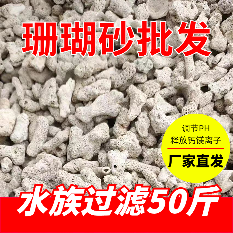 批发天然珊瑚骨水族滤材