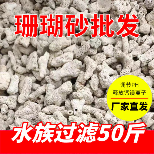 批发天然珊瑚骨水族滤材
