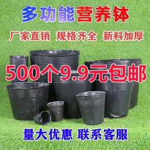 加厚营养钵育苗盆黑色果树育苗袋塑料一次性种植袋花盆育苗杯