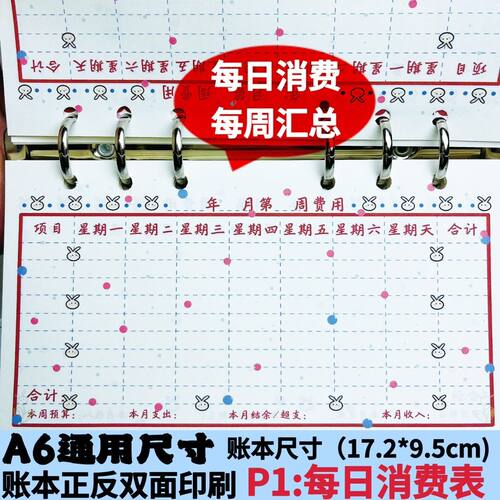 A6活页记账本内页现金预算记账本消费明细通用简约多功能记账