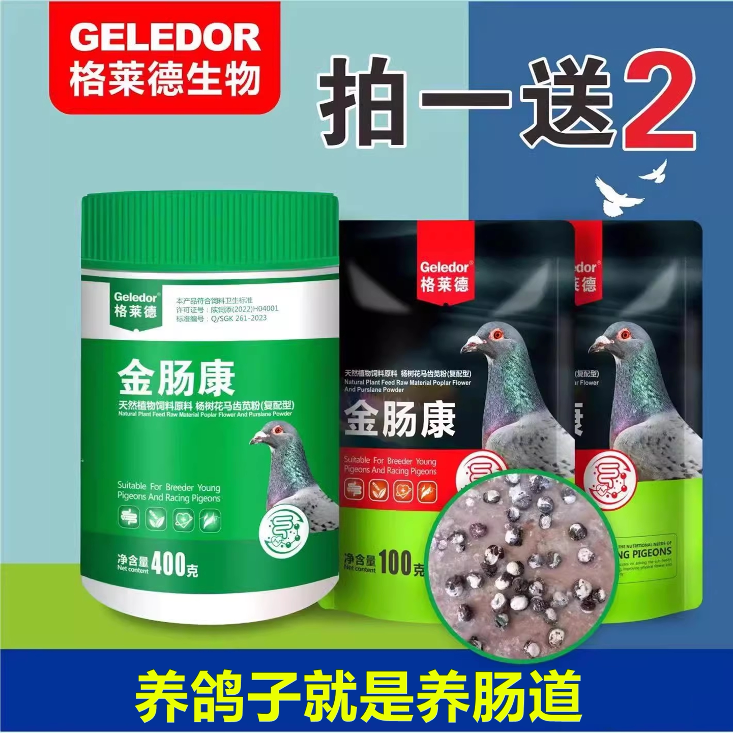 格莱德鸽子药金肠道水绿便沙门