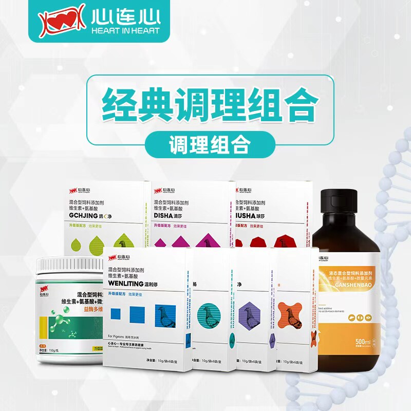 心连心种鸽调理套装育雏鸽子
