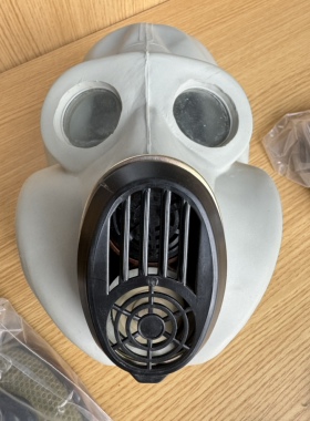 罕见苏联PBF 防毒面具大猩猩精品收藏！成人2号，白色全套！