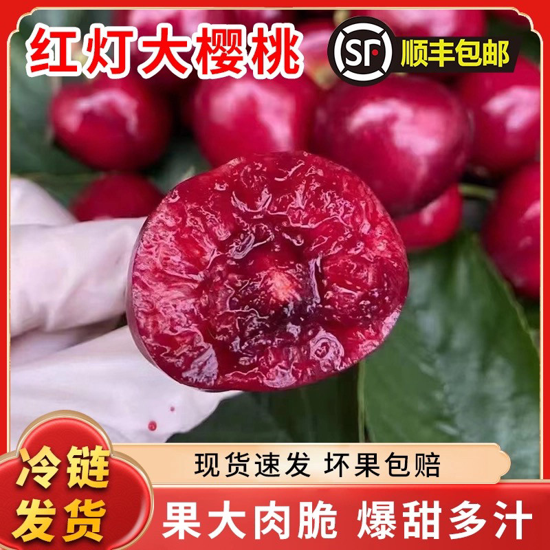 大连红灯大樱桃露天酸甜樱桃新鲜水果国产当季孕妇现摘现发包邮