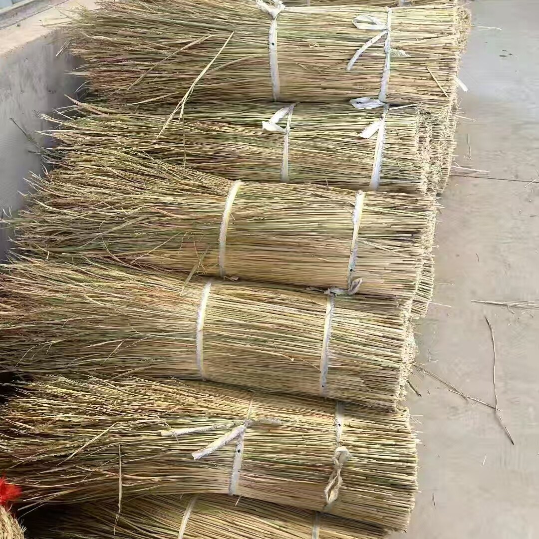 天然稻草做霉豆腐屋顶装饰遮阳稻草帘子牛羊草料稻草纯手工编织