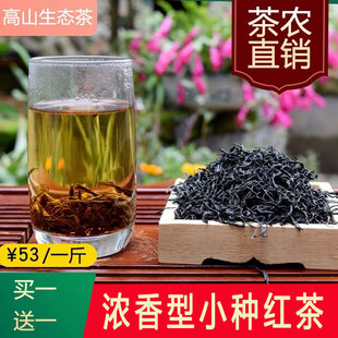 高山古树新茶日照充足松阳小种红茶叶浓香型袋装散装浙江红茶500g