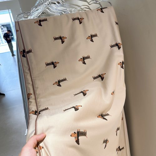 韩国大鹅双面天丝棉可机洗夏凉被