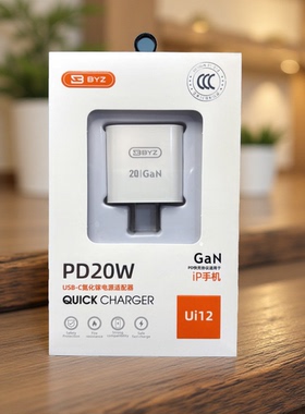 BYZ 快充充电器PD 20W适用苹果8-14 苹果15/16/17快速充电头套装