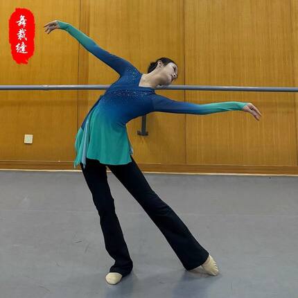 古典舞练功服女成人艺考形体中国上衣芭蕾身韵服教师民族舞蹈纱衣