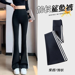 条纹微喇鲨鱼裤加长版秋冬加绒高腰弹力瑜伽喇叭裤子高个子阔腿裤