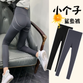 高腰鲨鱼裤 女外穿收腹提臀九分瑜伽弹力 加绒小个子八分高压打底裤