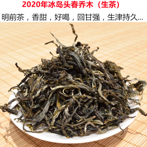 冰岛茶生茶普洱茶散茶明前头春茶