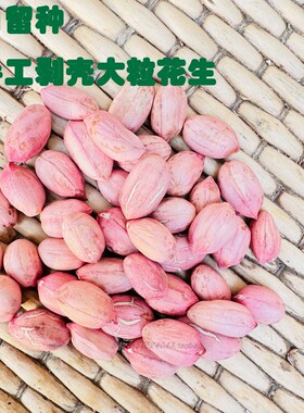 25年新 绿色农家肥 自留种 山东手工剥壳挑拣大粒花生 5斤 包邮