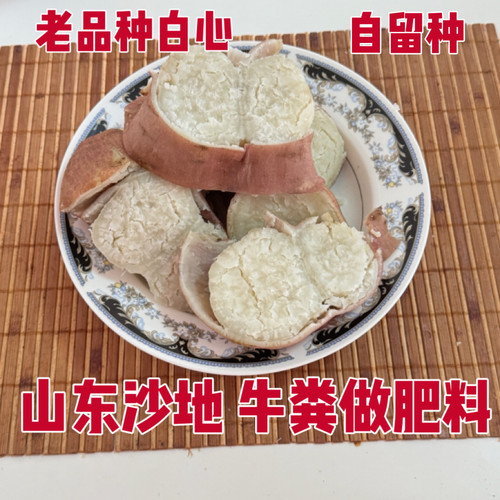 老品种丑地瓜 农家肥自家种的山东沙地白心白瓤粉面番茄红薯 5斤
