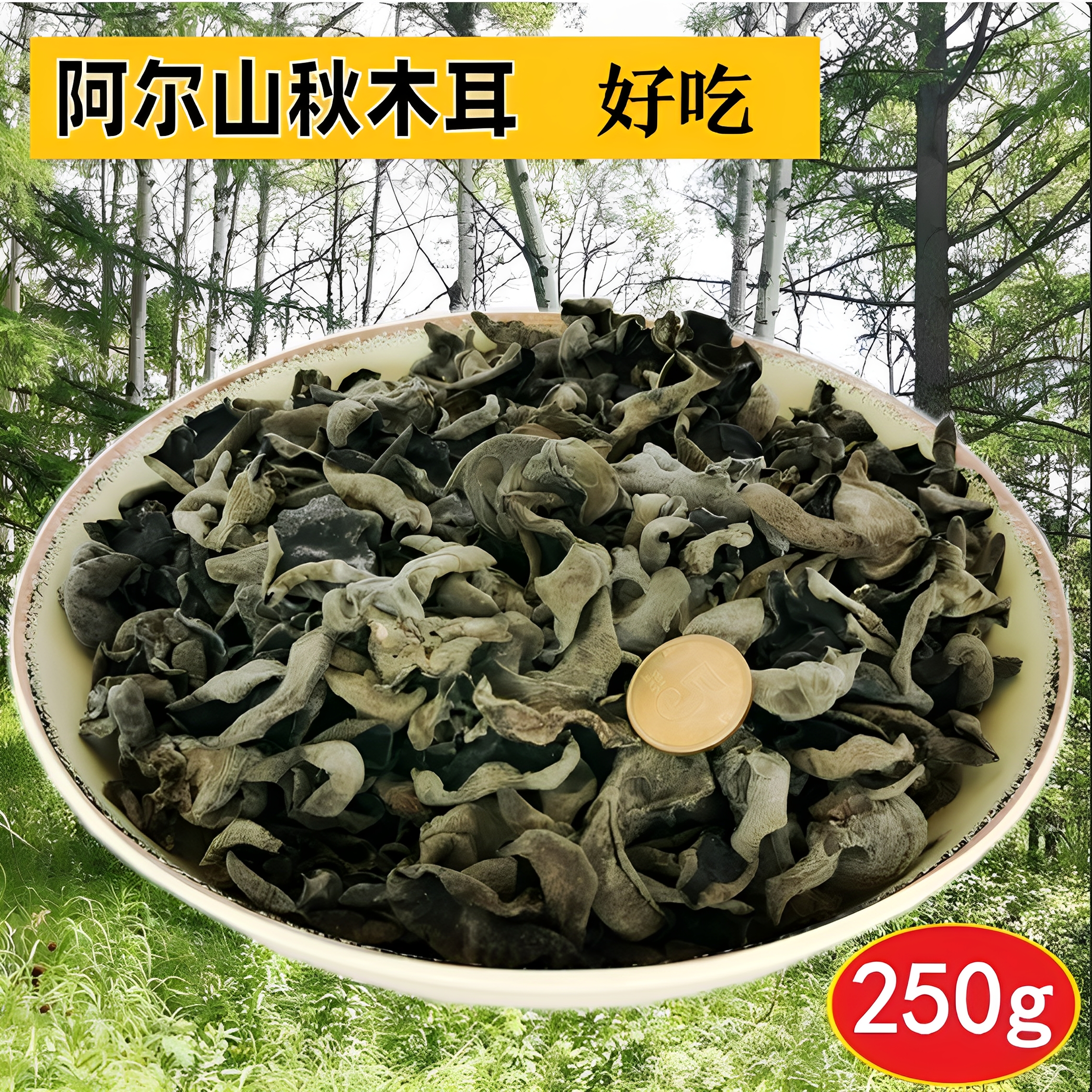 阿尔山秋耳柞林段黑木耳一级碗耳