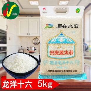 兴安盟大米 魏佳龙洋十六5kg 长粒香稻花香扎赉特旗东北草原大米