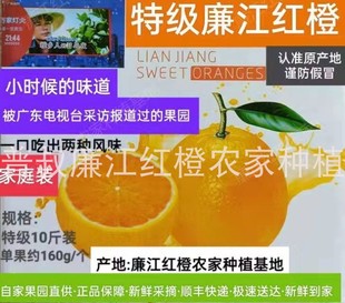 新鲜10斤装 橙子特级正宗廉江红橙果园直供手剥皮薄多汁清甜顺丰发