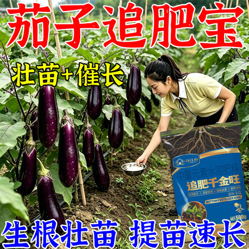 茄子追肥宝茄子专用肥料生根壮苗茄子黑又亮拉直拉长防畸形防裂果