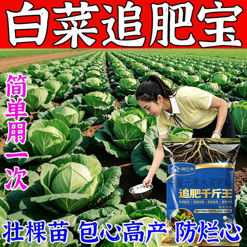 正品白菜追肥宝【1袋1亩】白菜通用追肥生根壮苗促长防死苗增产肥