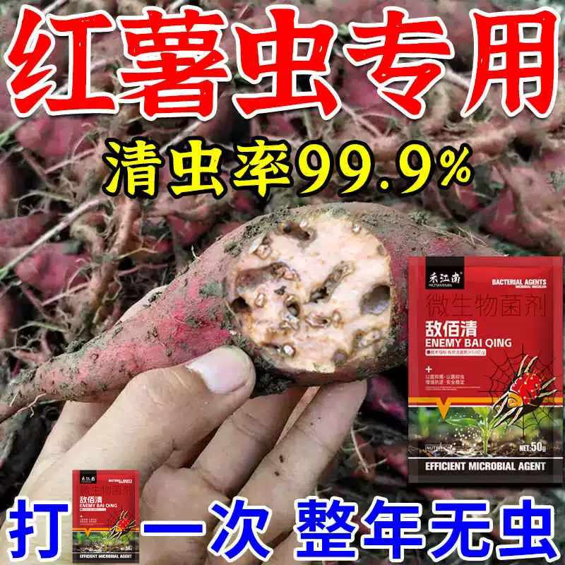 安全消杀红薯地下害虫红薯专用药红薯防蛀虫药祛黄叶病毒病茎线虫