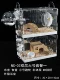 NC Bai Tuo-Double University