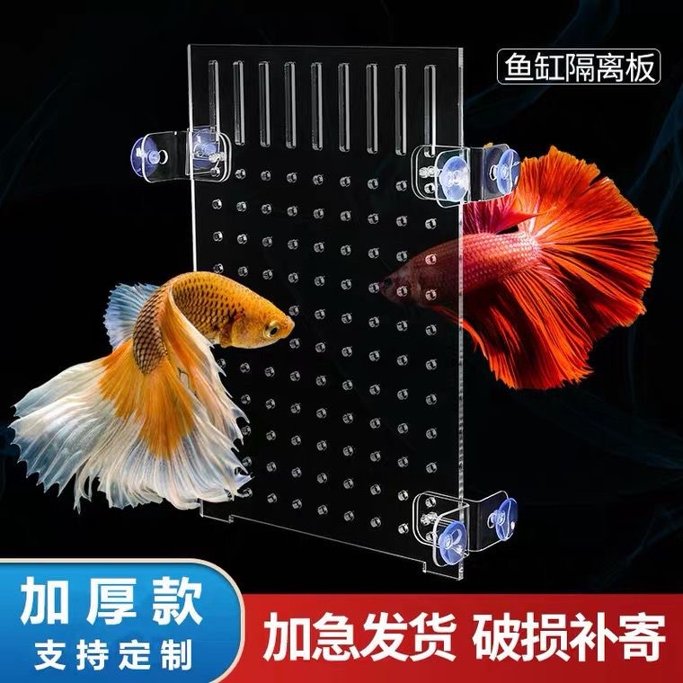 透明鱼缸隔离板亚克力隔板鱼苗隔离板盖板鱼缸分离隔离网挡板定制
